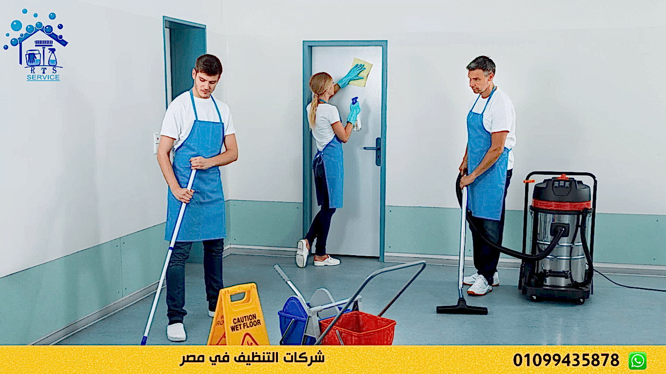 شركات التنظيف في مصر