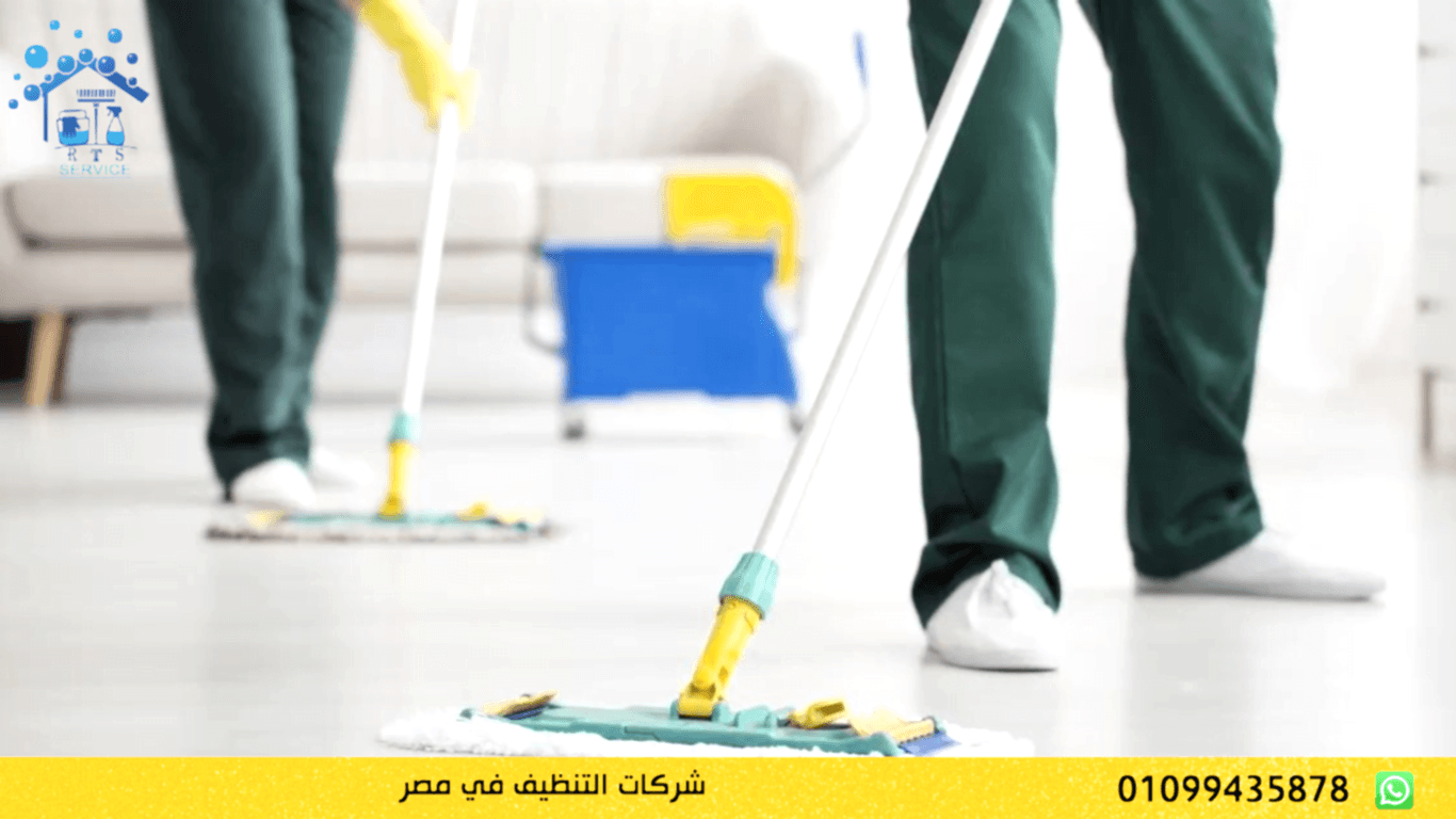 شركات التنظيف في مصر