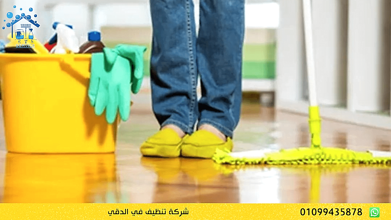 شركة تنظيف في الدقي