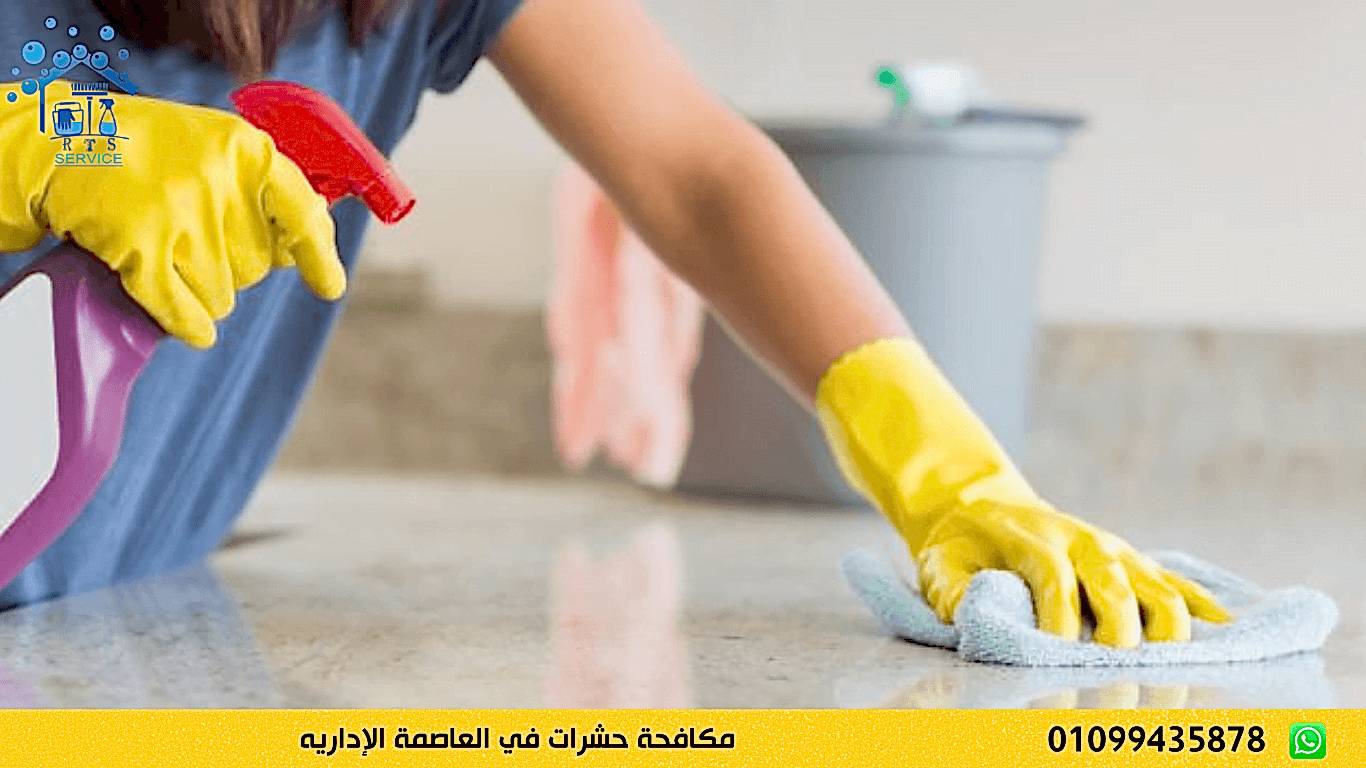 مكافحة حشرات في العاصمة الإداريه