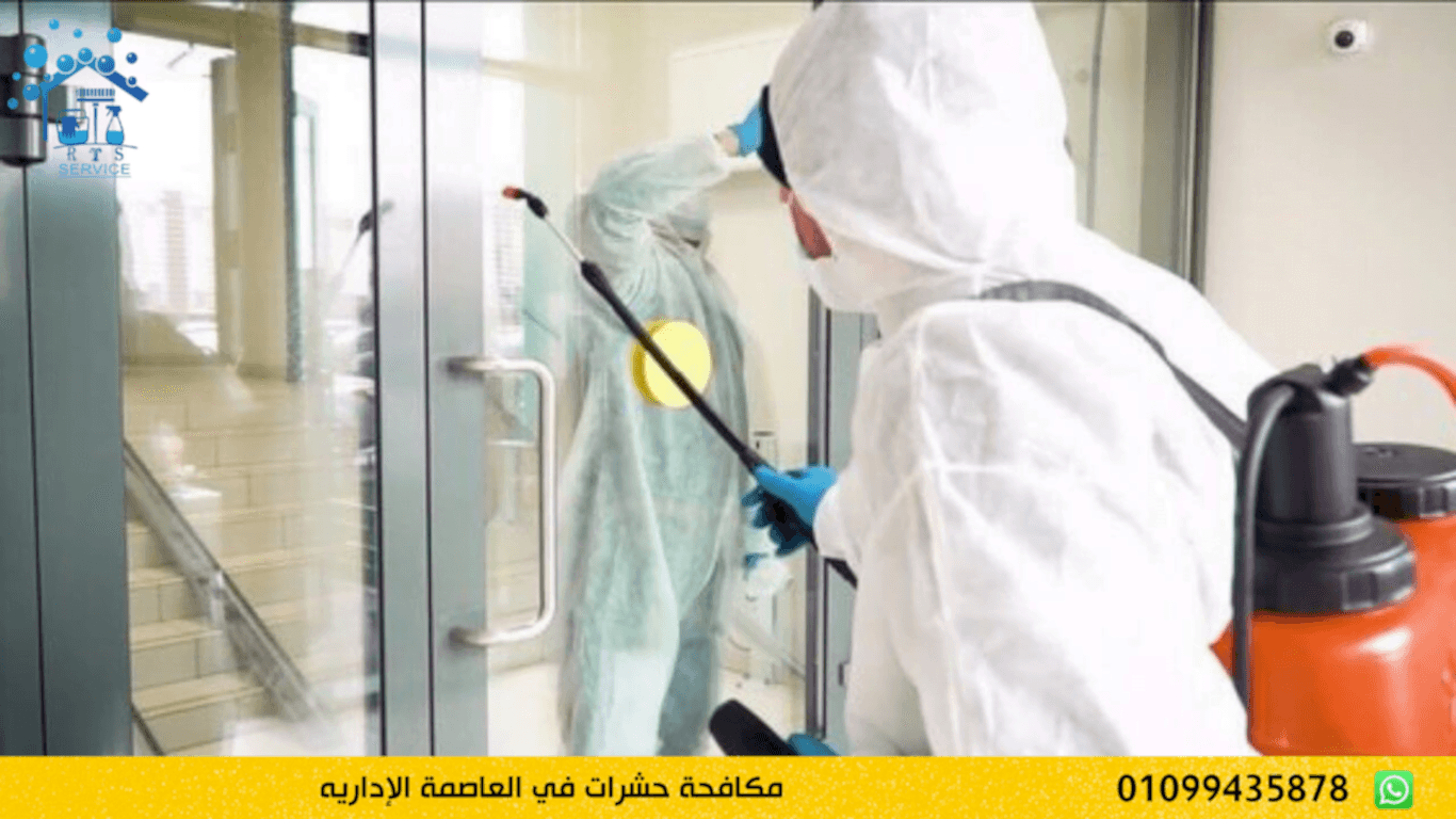 مكافحة حشرات في العاصمة الإداريه