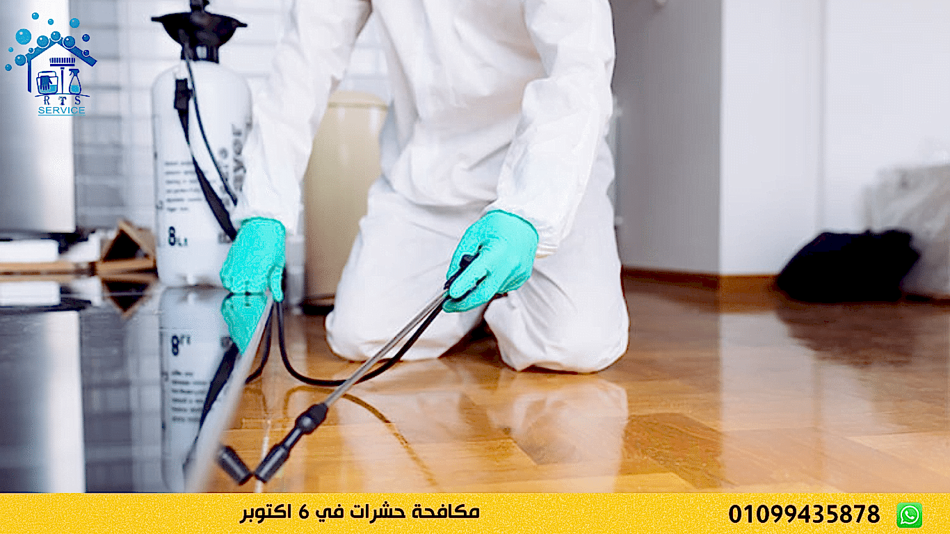 مكافحة حشرات في 6 اكتوبر
