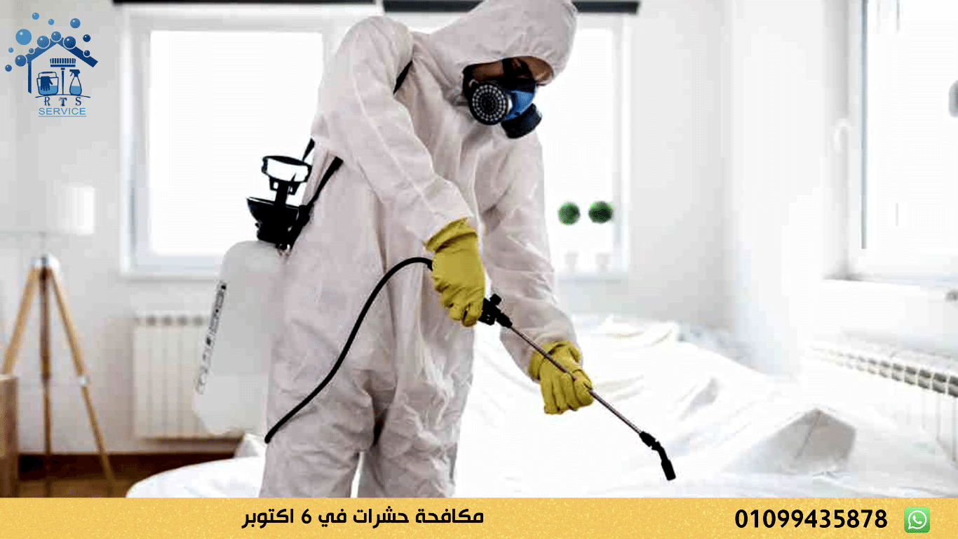 مكافحة حشرات في 6 اكتوبر
