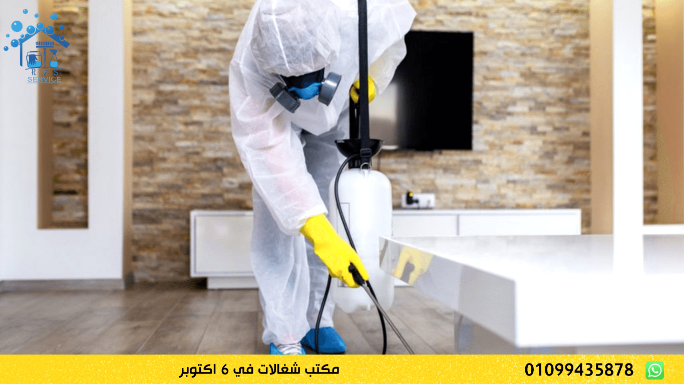 مكتب شغالات في 6 اكتوبر