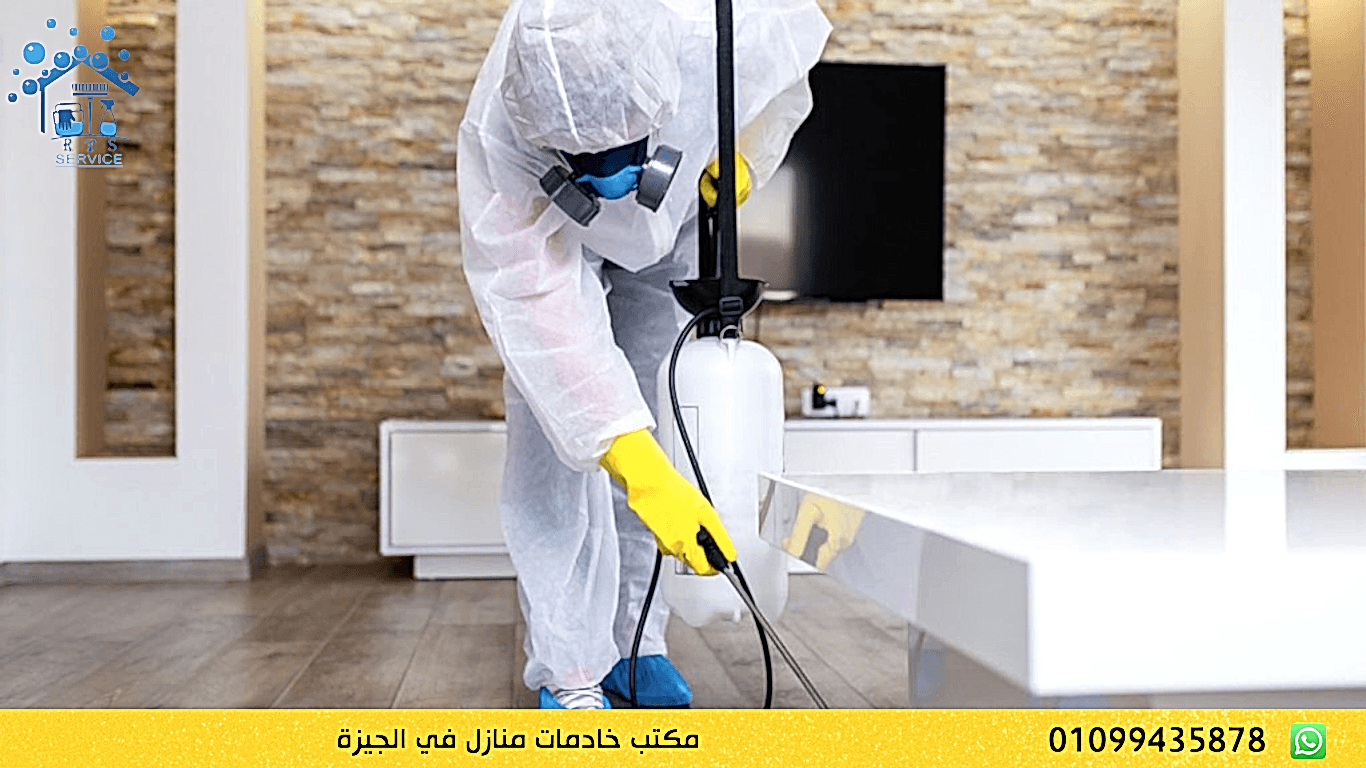 مكتب خادمات منازل في الجيزة